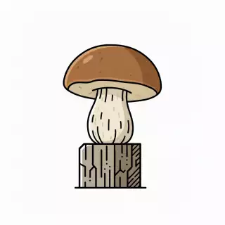 Boletus
